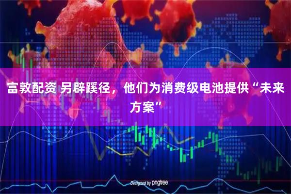 富敦配资 另辟蹊径，他们为消费级电池提供“未来方案”