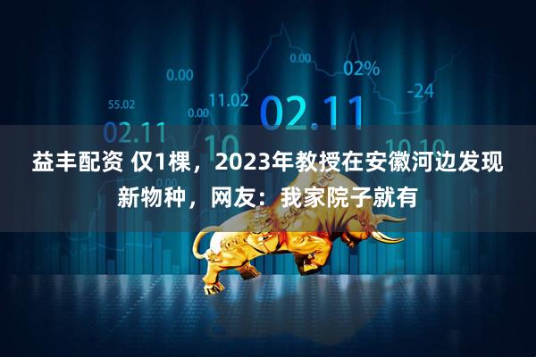 益丰配资 仅1棵，2023年教授在安徽河边发现新物种，网友：我家院子就有